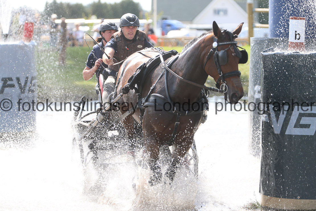  WM 1sp Horses