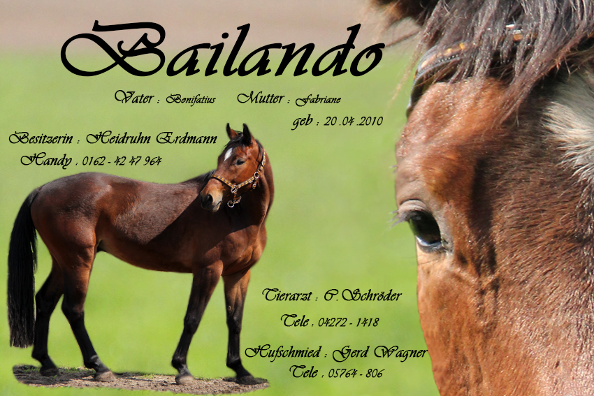 Bailando 2 